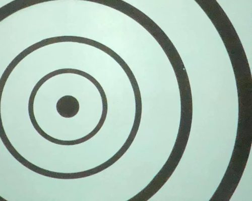 ci mancavano le zanzare!